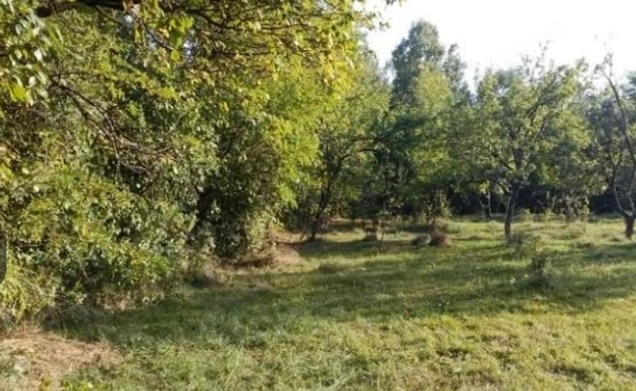 Teren de 3550 mp, în Teișani