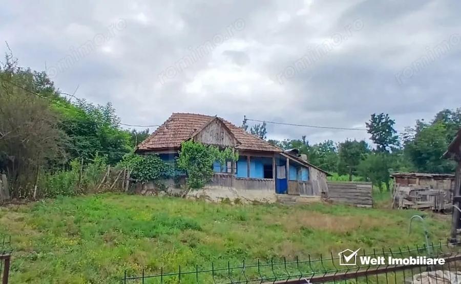 Casă cu Teren 7000 Mp în Cămărașu