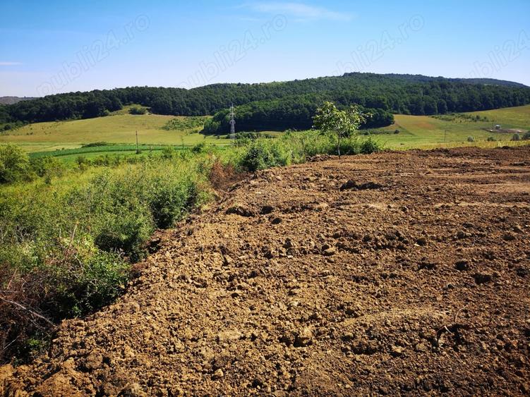 Teren de 2200 mp, în Deușu