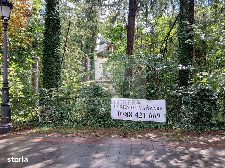 Spațiu comercial, în Castelul Peleș