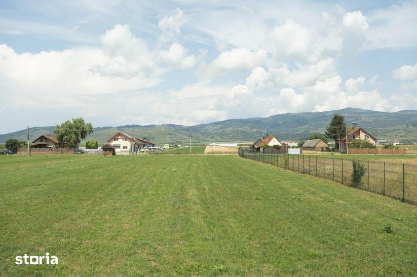 Teren de 9398 mp, în Gheorgheni