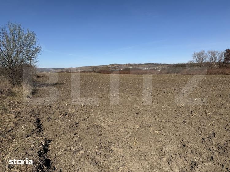 Teren de 4000 mp, în Hereclean