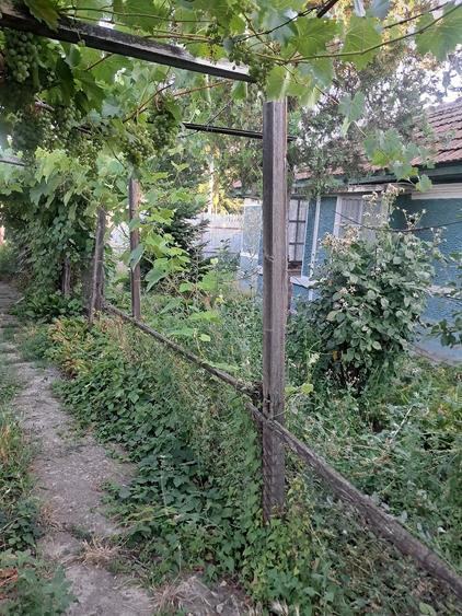 Casă cu Teren 1700 Mp în Plopu