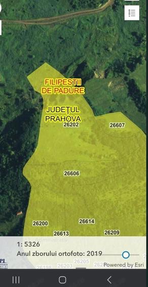 Teren de 110155 mp, în Filipeștii de Pădure