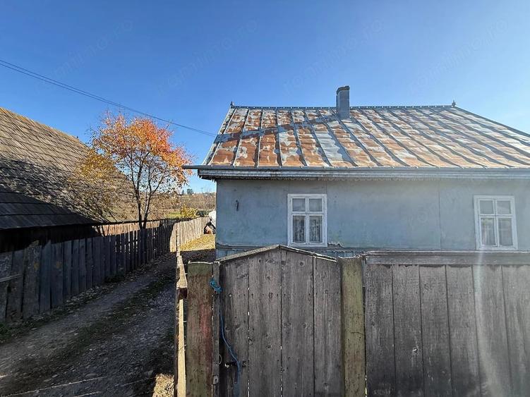 Casă cu Teren 3400 Mp în Arbore