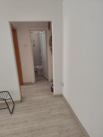 Apartament cu 2 camere semidecomandat în Brusturi