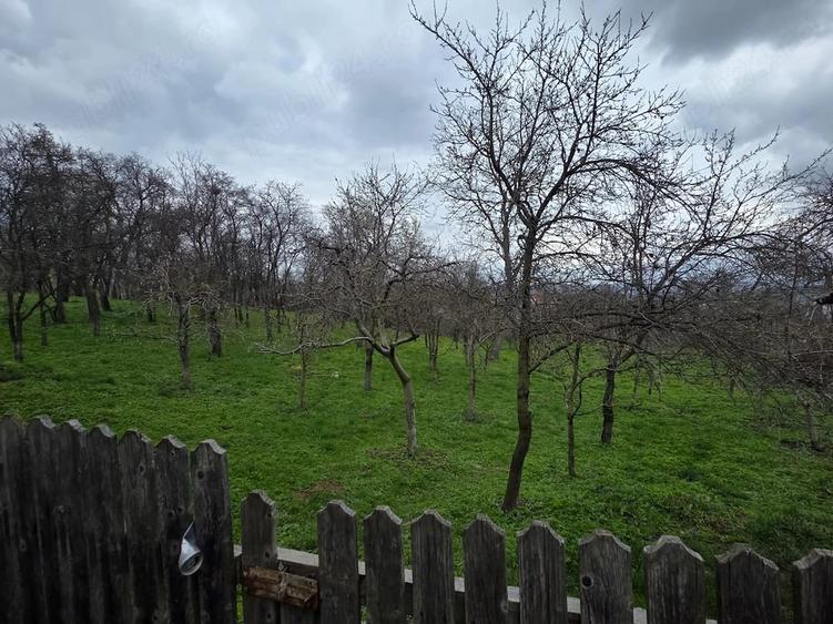 Casă cu 2 camere cu Teren 2270 Mp în Bosanci