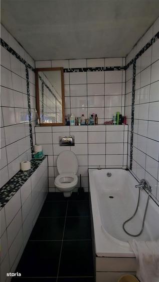 Casa cu garaj si gradina de inchiriat in Gusterita - 12