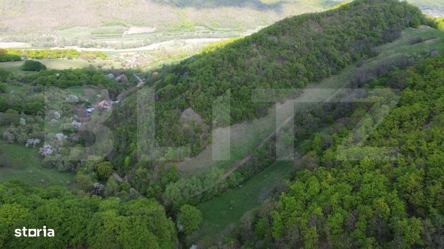 Spațiu comercial, în Pădure
