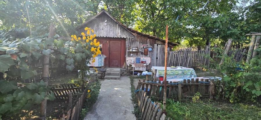 Casă cu 2 camere în Bârseștii de Sus