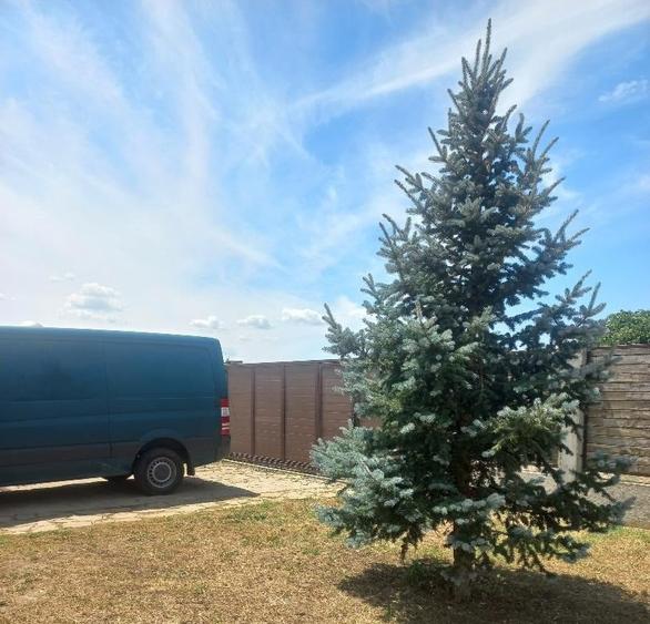 Casă cu 4 camere cu Teren 800 Mp în Kogălniceanu