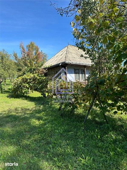 Teren de 4872 mp, în Forăști
