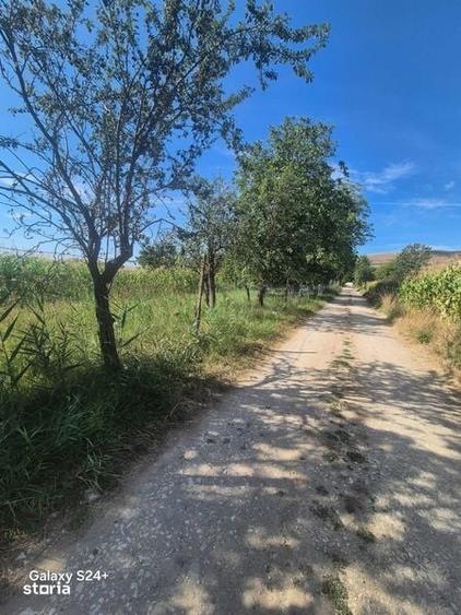 Teren de 1875 mp, în Galda de Jos
