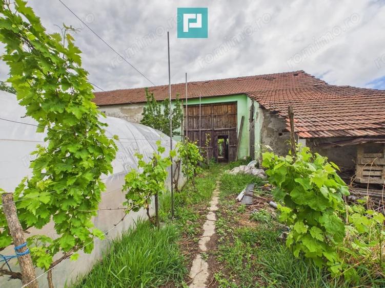 Casă cu 3 camere cu Teren 1048 Mp în Aradul Nou
