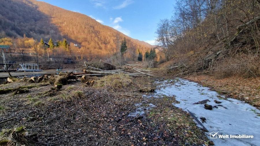 Teren Construcții intravilan de 3279 mp, în Mărișel