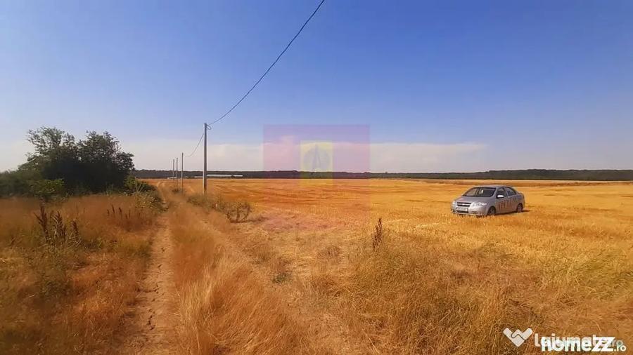 Teren de 2000 mp, în Brănești