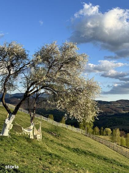 Teren intravilan 18066 mp si extravilan 4566 mp in Pestera com Moieciu - 9