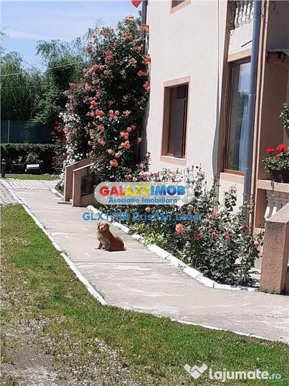 Casă cu 5 camere cu Teren 3190 Mp în Răcari