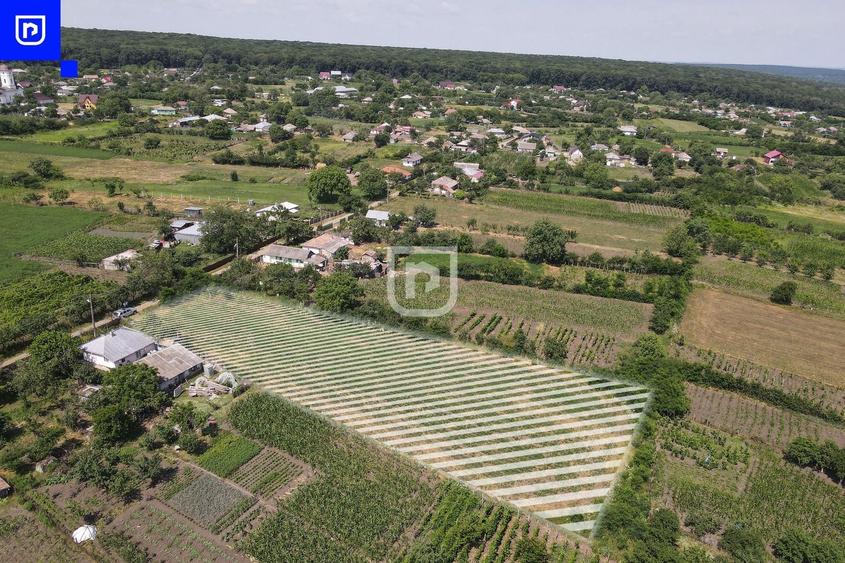 Teren Construcții intravilan de 3285 mp, în Ionășeni (Trușești)