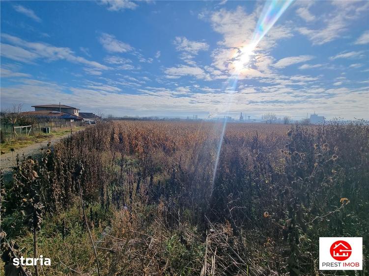 Teren de 3900 mp, în Sâncraiu de Mureș