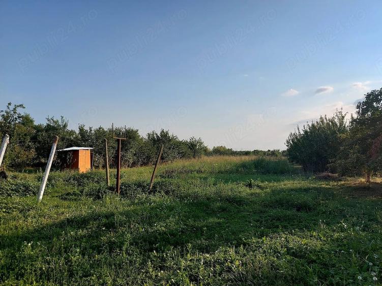 Casă în Alioș