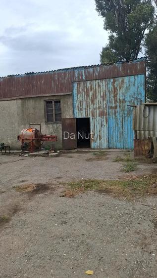 Ferma 3700 mp C.A.P. POIANA