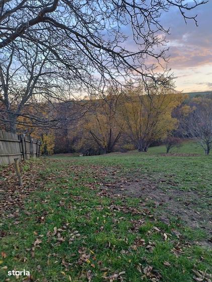 Teren de 2200 mp, în Frumosu