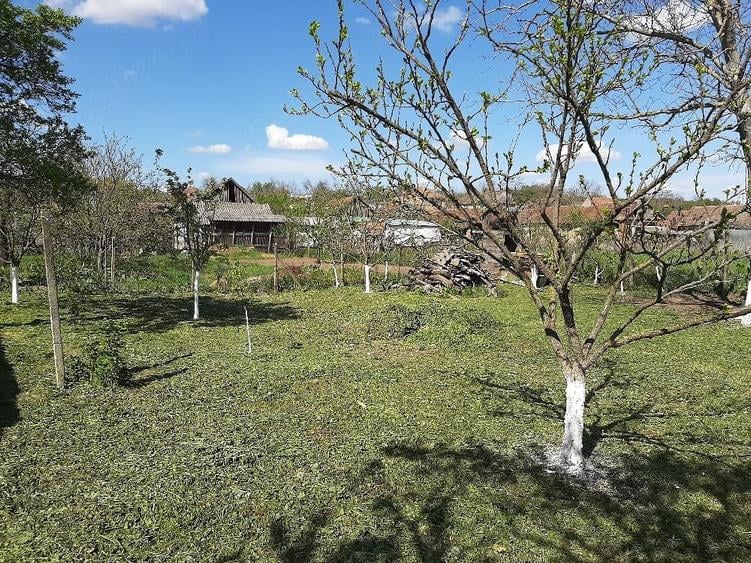 Casă cu Teren 540 Mp în Sălard