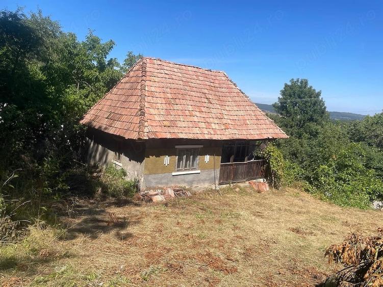 Casă cu 2 camere cu Teren 2000 Mp în Hodișu