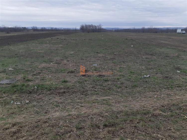 Teren Construcții intravilan de 5000 mp, în Vadu Pașii