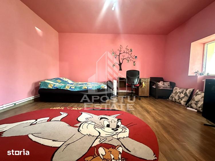 Casă cu 4 camere cu Teren 1000 Mp în Peciu Nou