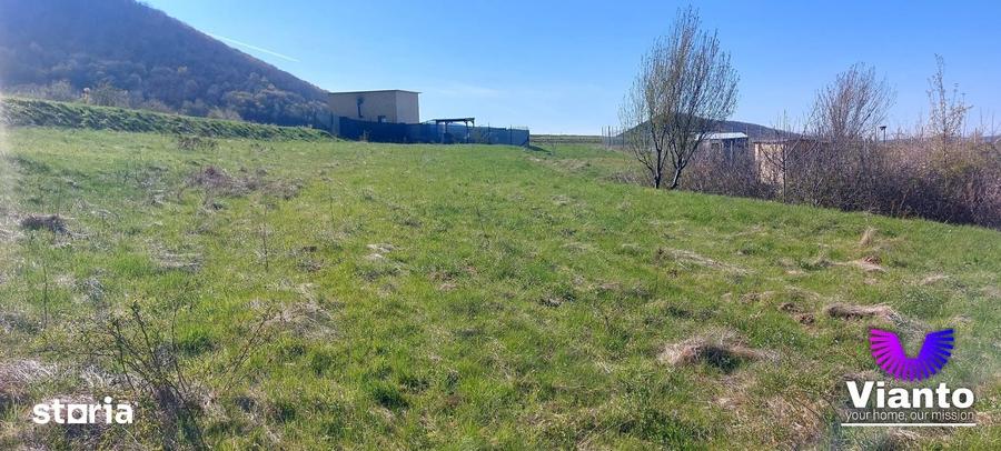 Teren de 1500 mp, în Poplaca