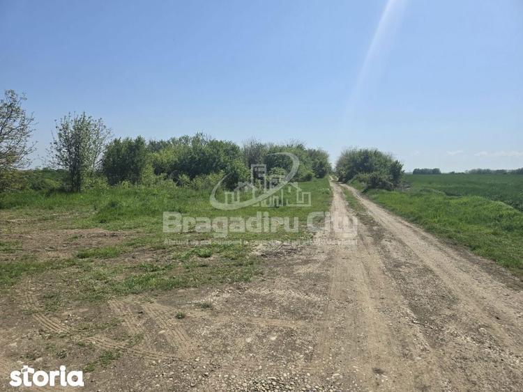 Teren Ordoreanu parcelat ideal investitie - 1