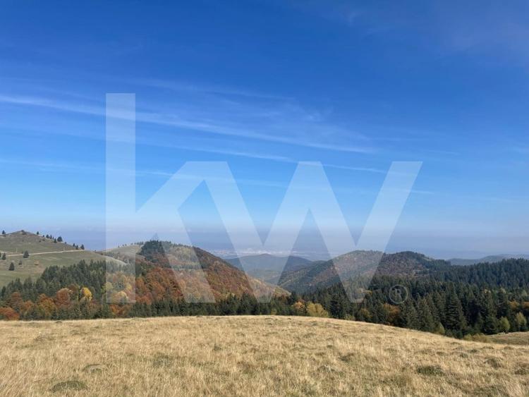 Teren Construcții intravilan de 2500 mp, în Păltiniș