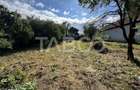 Casa cu potential de investitie in centrul satului 1540 mp teren - 4