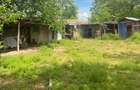 Casa de vanzare in mirificul sat cu balta de pescuit Conacul - 2