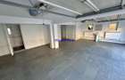 Inchiriere Vila Premium S+P+2E Cartier Cotroceni - 2