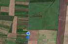 Teren extravilan agricol 15500mp, deschidere 49,64 in Tartasesti - 2