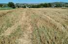 Teren intravilan folosit ca agricol - 3