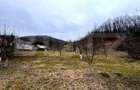 Teren intravilan 3.709 mp, Strem? - 3