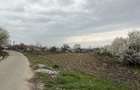 Teren intravilan Ionesti, Valcea - 2