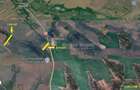 Nicolint, 2 Terenuri Extravilane, Arabil, 1.45 Hectare - 9