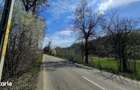Teren 10,000mp Nemtisor / DJ 155C - 13