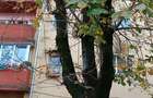 Oportunitate Unica! Apartament Langa Pia?a Verde ?i Agronomie! - 1