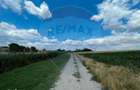 Teren 4.350 mp Balta Pasarea - 30 minute Bucuresti - 4