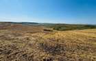 15000mp Horlesti Breazu , zona case noi - 2