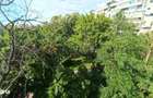 Apartament 4 camere - Drumul Taberei - 90 mp -4/4 - comision 0 - 1