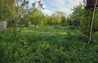 Casa cu 4 camere, mobilata, Mosteni, 35000 EUR - Mosteni (Teleorman) - 13