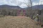 Teren intravilan de vanzare in Valea Doftanei - 11