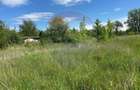 Teren 6,716mp Bacau / Aleea INFRATIRII nr.23 Izvoare - 5